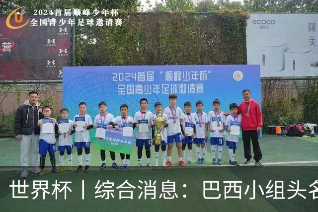 世界杯丨综合消息：巴西小组头名晋级 南非创造球队历史